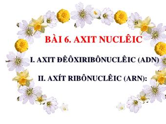 Bài giảng Sinh học Khối 10 - Bài 6: Axit nuclêic (Bản mới)