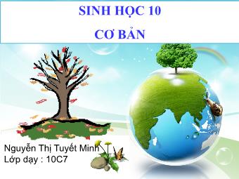 Bài giảng Sinh học Lớp 10 - Bài 25: Sinh trưởng và sinh sản của vi sinh vật - Nguyễn Thị Tuyết Minh