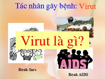 Bài giảng Sinh học Lớp 10 - Bài 29: Cấu trúc các loại virut (Bản đẹp)