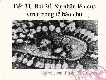 Bài giảng Sinh học Lớp 10 - Bài 30: Sự nhân lên của virut trong tế bào chủ - Phạm Xuân Lam