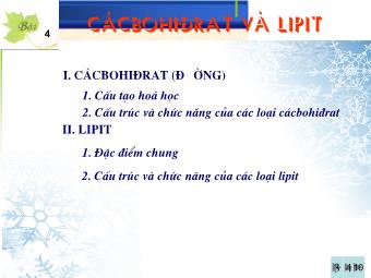 Bài giảng Sinh học Lớp 10 - Bài 4: Cacbohidrat và lipit (Bản chuẩn kiến thức)