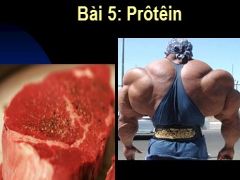Bài giảng Sinh học Lớp 10 - Bài 5: Protein (Bản đẹp)