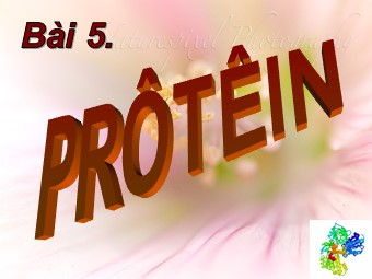 Bài giảng Sinh học Lớp 10 - Bài 5: Protein (Bản hay)
