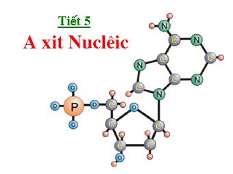 Bài giảng Sinh học Lớp 10 - Bài 6: Axit nuclêic (Bản chuẩn kĩ năng)