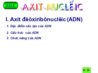 Bài giảng Sinh học Lớp 10 - Bài 6: Axit nucleic (Bản đẹp)