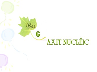 Bài giảng Sinh học Lớp 10 - Bài 6: Axit nucleic (Bản hay)