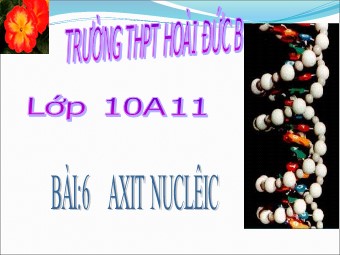 Bài giảng Sinh học Lớp 10 - Bài 6: Axit nuclêic - Trường THPT Hoài Đức B