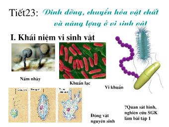 Bài giảng Sinh học Lớp 10 - Tiết 23, Bài 22: Dinh dưỡng, chuyển hóa vật chất và năng lượng ở vi sinh vật (Bản hay)
