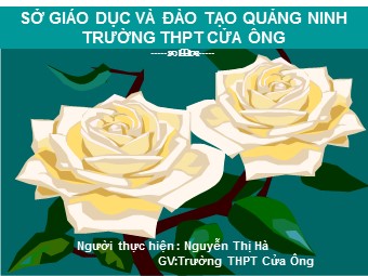 Bài giảng Sinh học Lớp 11 - Bài 2: Vận chuyển các chất trong cây - Nguyễn Thị Hà