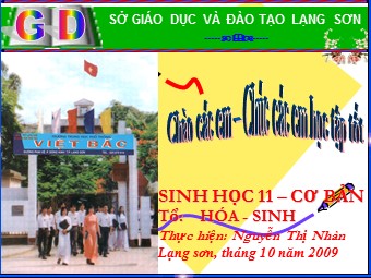 Bài giảng Sinh học Lớp 11 - Bài 8: Quang hợp ở thực vật - Nguyễn Thị Nhàn