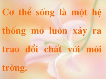 Bài giảng Sinh lý tiêu hóa (Bản hay)