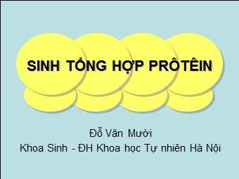 Bài giảng Sinh tổng hợp prôtêin - Đỗ Văn Mười