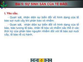 Bài giảng Sự sinh sản của tế bào