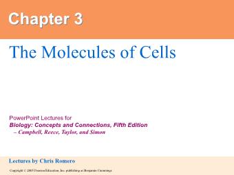 Bài giảng The molecules of cells
