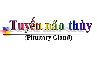 Bài giảng Tuyến não thùy