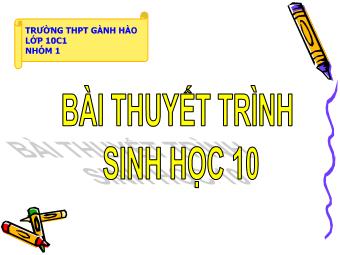 Bài thuyết trình Sinh học Lớp 10 - Trường THPT Gánh Hào