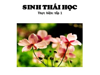 Bài thuyết trình Sinh thái học