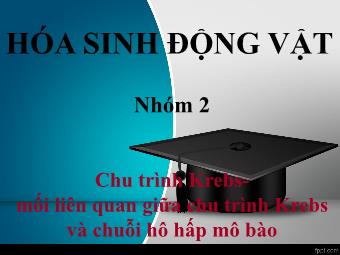 Báo cáo Chu trình Krebs- Mối liên quan giữa chu trình Krebs và chuỗi hô hấp mô bào