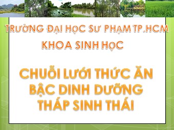 Báo cáo Chuỗi lưới thức ăn bậc dinh dưỡng tháp sinh thái