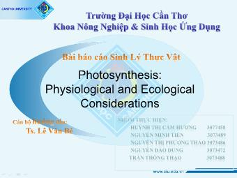 Báo cáo Photosynthesis: Physiological and ecological considerations