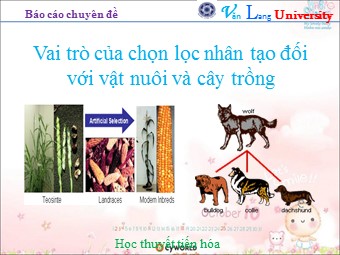 Báo cáo Vai trò của chọn lọc nhân tạo đối với vật nuôi và cây trồng