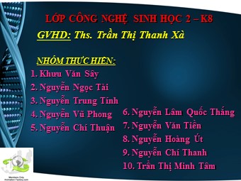 Chuyên đề Sinh vật chuyển gen