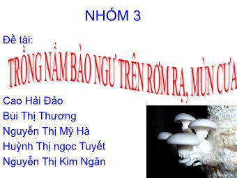 Đề tài Trồng nấm bào ngư trên rơm rạ, mùn cưa