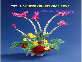 Bài giảng Đại số Lớp 6 - Chương 1 - Bài 12: Dấu hiệu chia hết cho 3, cho 9 - Mai Xuân Vượng