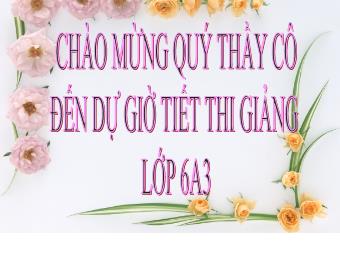 Bài giảng Đại số Lớp 6 - Chương 2 - Bài 3: Thứ tự trong tập hợp các số nguyên (Bản đẹp)