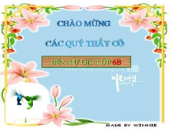 Bài giảng Đại số Lớp 6 - Chương 2 - Bài 3: Thứ tự trong tập hợp các số nguyên (Bản hay)