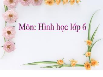 Bài giảng Đại số Lớp 6 - Chương 2 - Bài 3: Thứ tự trong tập hợp các số nguyên (Chuẩn kĩ năng)