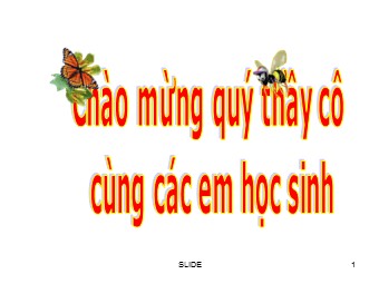 Bài giảng Đại số Lớp 6 - Chương 3 - Bài 10: Phép nhân phân số - Mai Hồng Nhân