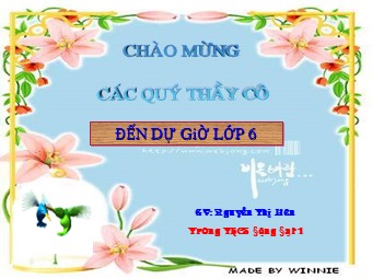 Bài giảng Đại số Lớp 6 - Chương 3 - Bài 17: Biểu đồ phần trăm - Nguyễn Thị Liên