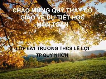 Bài giảng Đại số Lớp 6 - Chương 3 - Bài 17: Biểu đồ phần trăm - Trường THCS Lê Lợi