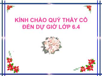 Bài giảng Đại số Lớp 6 - Ôn tập học kì I (Tiếp theo)