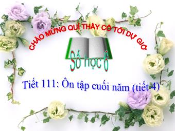 Bài giảng Đại số Lớp 6 - Tiết 111: Ôn tập cuối năm (Tiết 4)