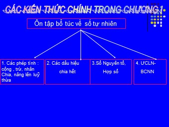 Bài giảng Đại số Lớp 6 - Tiết 38: Ôn chương 1