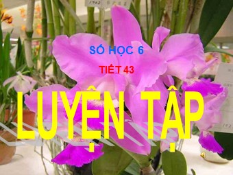 Bài giảng Đại số Lớp 6 - Tiết 43: Luyện tập (Bản mới)