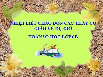 Bài giảng Đại số Lớp 6 - Tiết 90: Luyện tập (Bản hay)