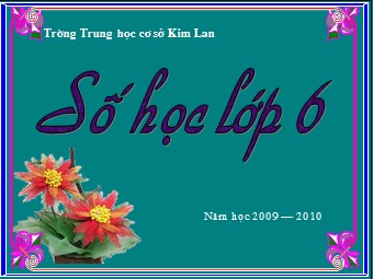 Bài giảng Đại số Lớp 6 - Tiết 91: Luyện tập - Trường THCS Kim Lan