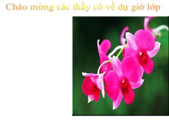 Bài giảng môn Đại số Khối 6 - Chương 1 - Bài 18: Bội chung nhỏ nhất (Chuẩn kĩ năng)