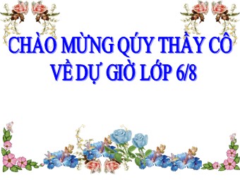 Bài giảng môn Đại số Lớp 6 - Luyện tập