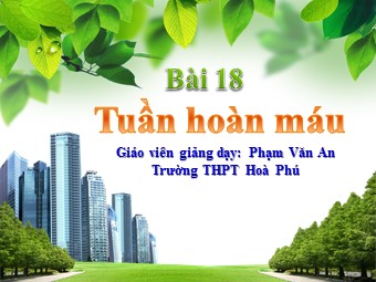 Bài giảng Sinh học Lớp 11 - Bài 18: Tuần hoàn máu - Trường THPT Hoà Phú