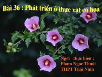 Bài giảng Sinh học Lớp 11 - Bài 36: Phát triển ở thực vật có hoa - Phạm Thị Ngọc Thuận