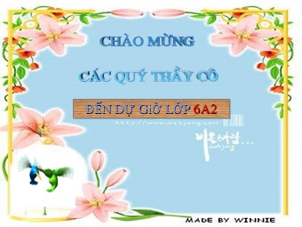 Bài giảng Đại số Khối 6 - Chương 3 - Bài 3: Tính chất cơ bản của phân số (Bản hay)