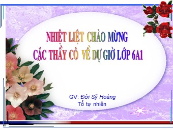 Bài giảng Đại số Lớp 6 - Chương 3 - Bài 1: Mở rộng khái niệm phân số - Đới Sỹ Hoàng