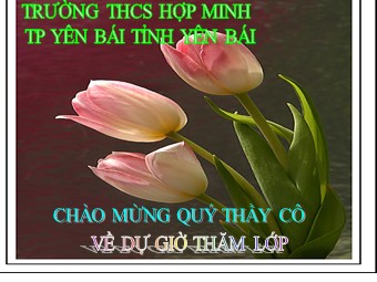 Bài giảng Đại số Lớp 6 - Ôn tập cuối năm - Trường THCS Hợp Minh