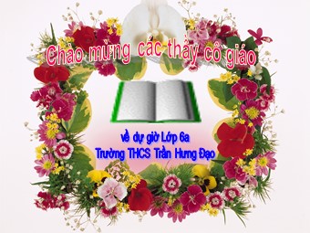 Bài giảng Đại số Lớp 6 - Tiết 96: Luyện tập - Trường THCS Trần Hưng Đạo