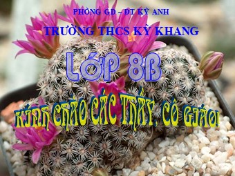 Bài giảng Đại số Lớp 8 - Bài 9: Phân tích đa thức thành nhân tử bằng cách phối hợp nhiều phương pháp - Trường THCS Kỳ Khang