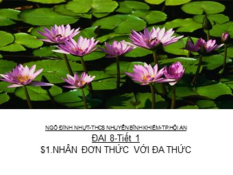 Bài giảng Đại số Lớp 8 - Chương 1 - Bài 1: Nhân đơn thức với đa thức - Ngô Đình Nhựt